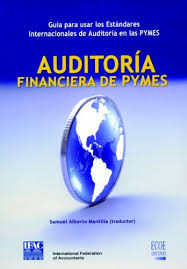 AUDITORIA FINANCIERA DE PYMES