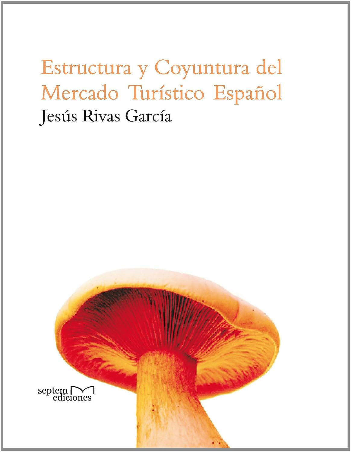 ESTRUCTURA Y COYUNTURA DEL MERCADO TURISTICO ESPAÑOL