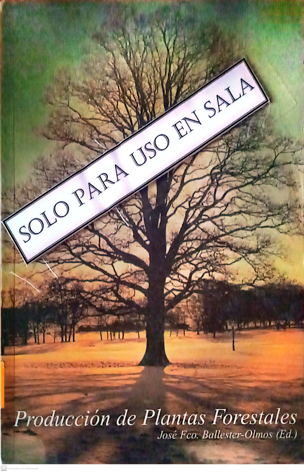 PRODUCCION DE PLANTAS FORESTALES