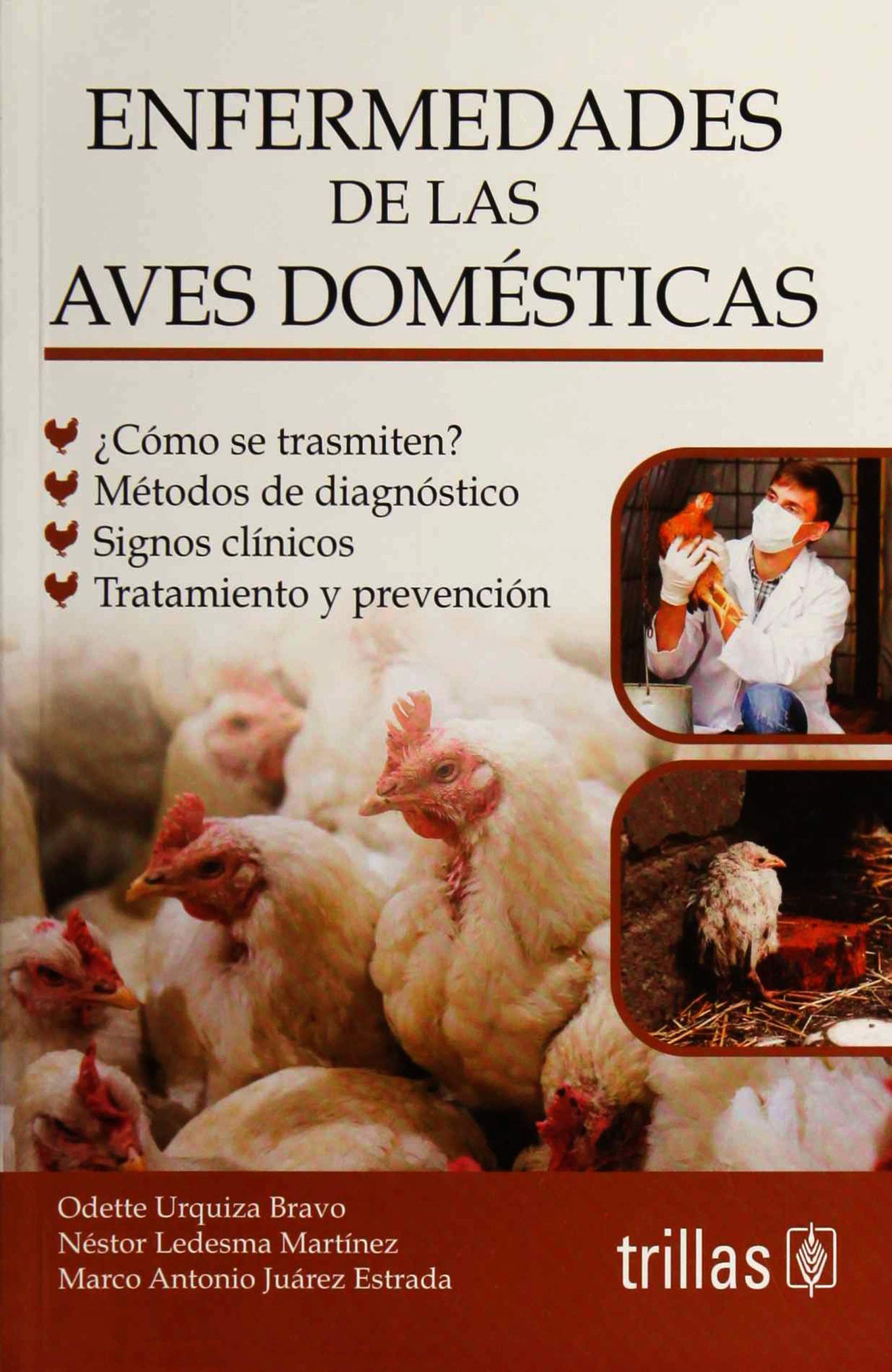 ECOCARDIOGRAFIA PRACTICA EN PEQUEÑOS ANIMALES