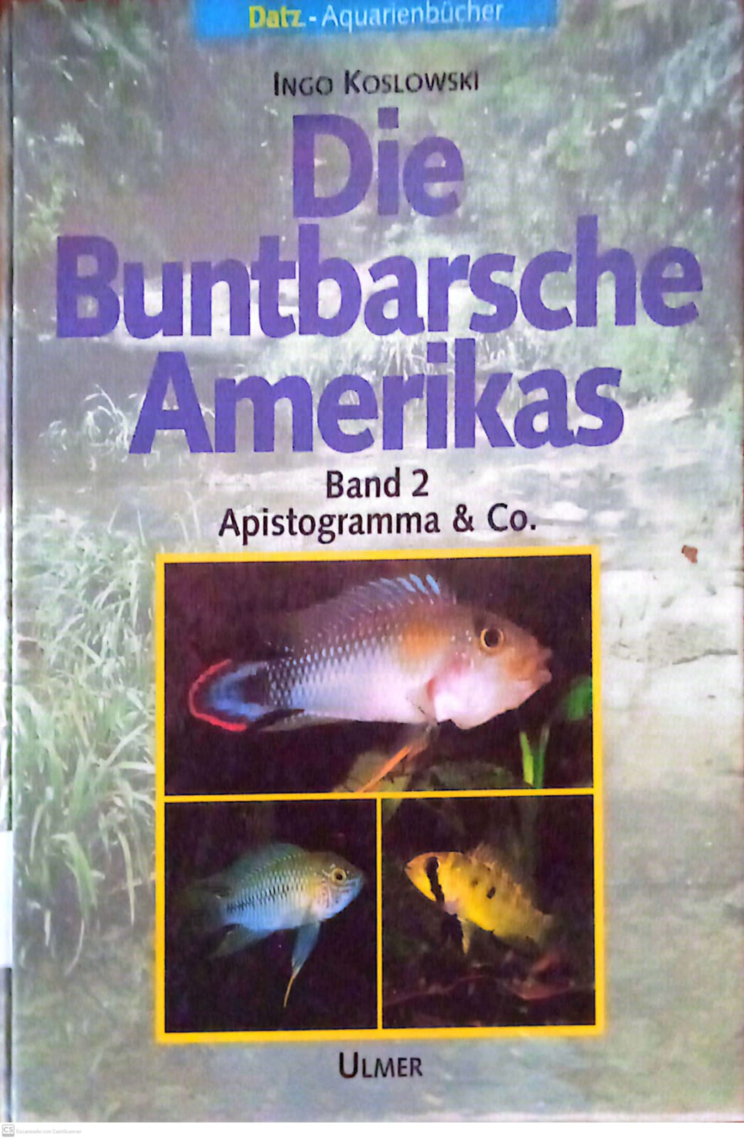 DIE BUNTBARSCHE AMERIKAS